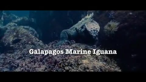 Oceans Bloopers - Joe Jonas and Demi Lovato 0602