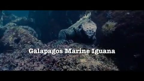Oceans Bloopers - Joe Jonas and Demi Lovato 0603