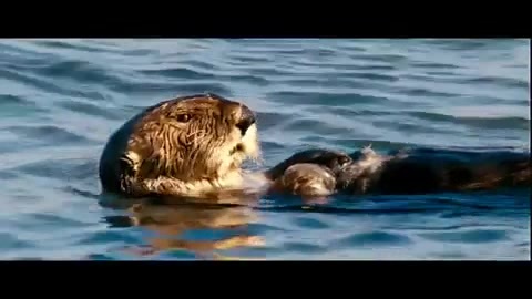 Oceans Bloopers - Joe Jonas and Demi Lovato 0630