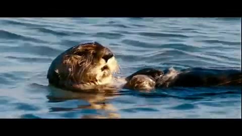 Oceans Bloopers - Joe Jonas and Demi Lovato 0631