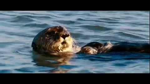 Oceans Bloopers - Joe Jonas and Demi Lovato 0632