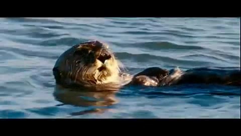 Oceans Bloopers - Joe Jonas and Demi Lovato 0633
