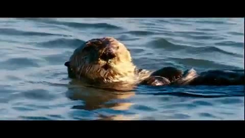 Oceans Bloopers - Joe Jonas and Demi Lovato 0636