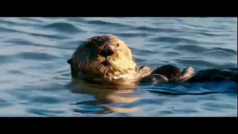 Oceans Bloopers - Joe Jonas and Demi Lovato 0637