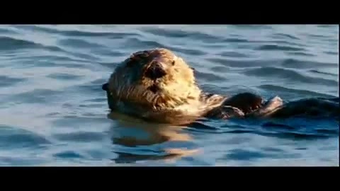 Oceans Bloopers - Joe Jonas and Demi Lovato 0638
