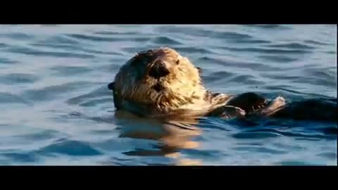 Oceans Bloopers - Joe Jonas and Demi Lovato 0639