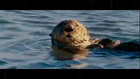 Oceans Bloopers - Joe Jonas and Demi Lovato 0642