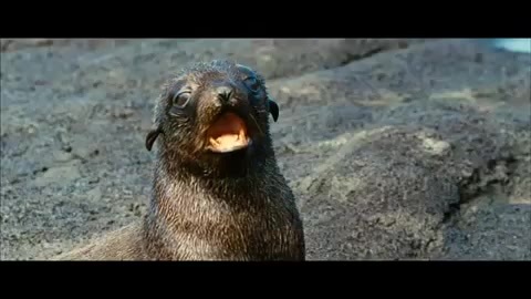 Oceans Bloopers - Joe Jonas and Demi Lovato 0784 - Demilush and Joe - Oceans Bloopers Part oo1