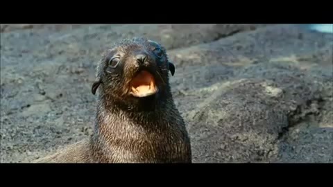Oceans Bloopers - Joe Jonas and Demi Lovato 0785 - Demilush and Joe - Oceans Bloopers Part oo1