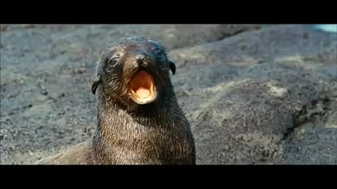Oceans Bloopers - Joe Jonas and Demi Lovato 0789 - Demilush and Joe - Oceans Bloopers Part oo1