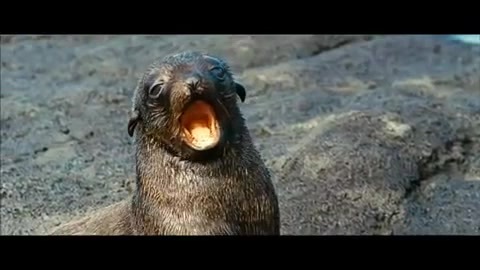 Oceans Bloopers - Joe Jonas and Demi Lovato 0792 - Demilush and Joe - Oceans Bloopers Part oo1