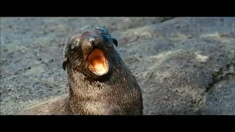 Oceans Bloopers - Joe Jonas and Demi Lovato 0804 - Demilush and Joe - Oceans Bloopers Part oo1