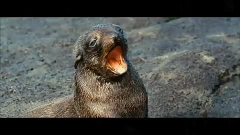 Oceans Bloopers - Joe Jonas and Demi Lovato 0810 - Demilush and Joe - Oceans Bloopers Part oo1