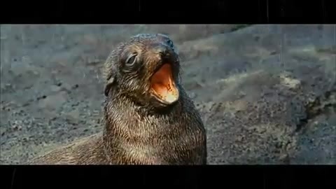 Oceans Bloopers - Joe Jonas and Demi Lovato 0811 - Demilush and Joe - Oceans Bloopers Part oo1