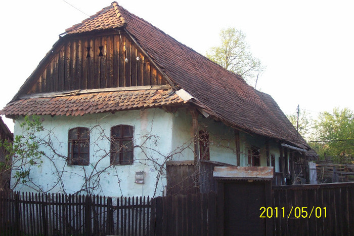 100_3932 - Case vechi traditionale din satul Palos-Ardeal