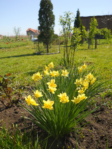 DSCN5275 - Aprilie-Mai 2012