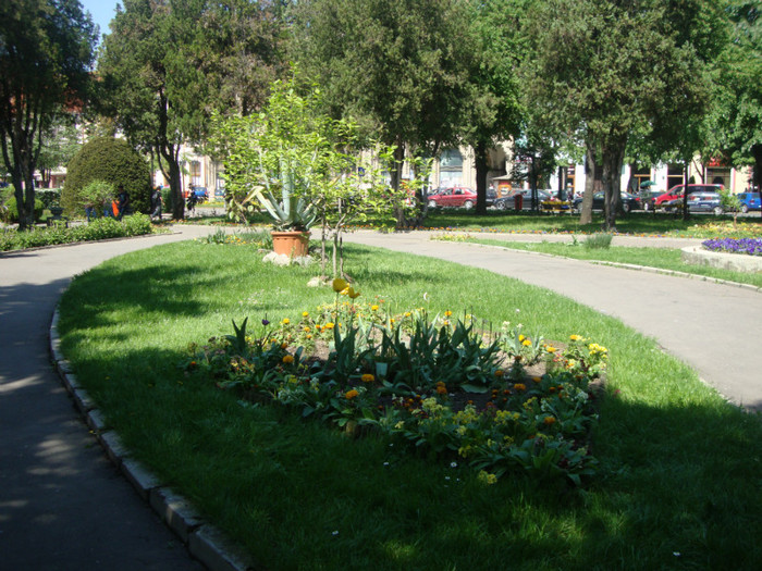  - Satu Mare