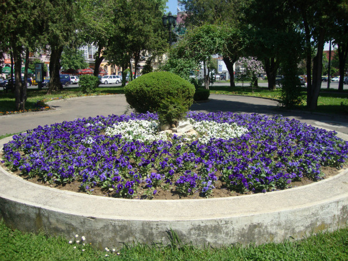  - Satu Mare