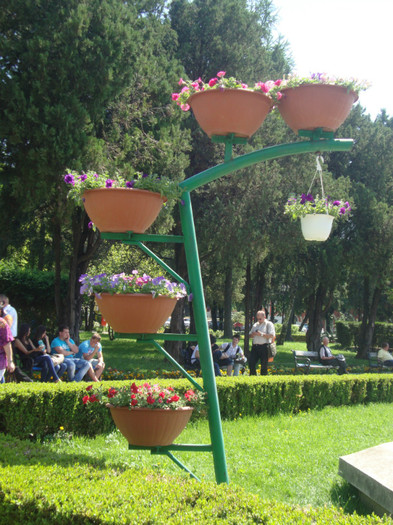  - Satu Mare