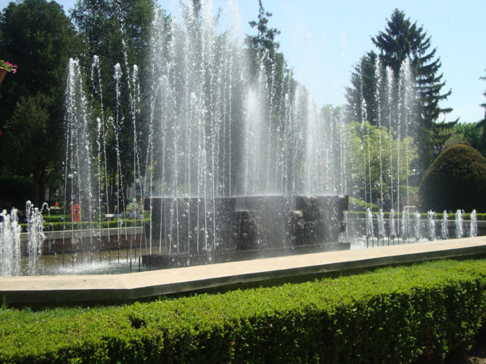  - Satu Mare