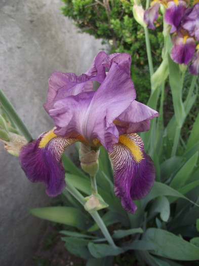DSCF7022