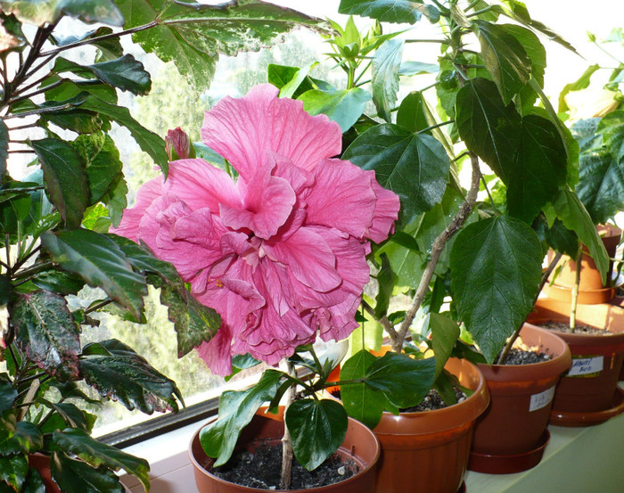 P1380861