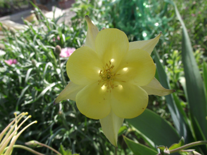DSCF7012