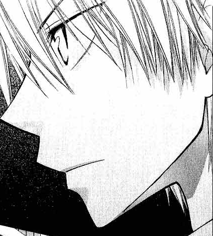 usui 13