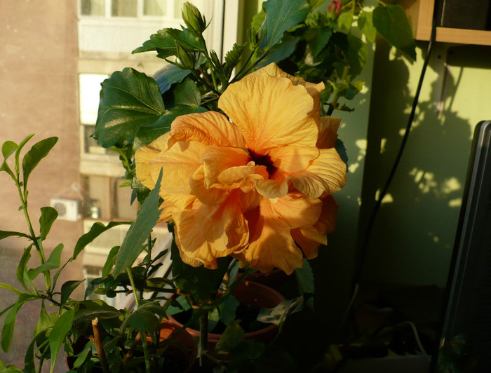P1380922