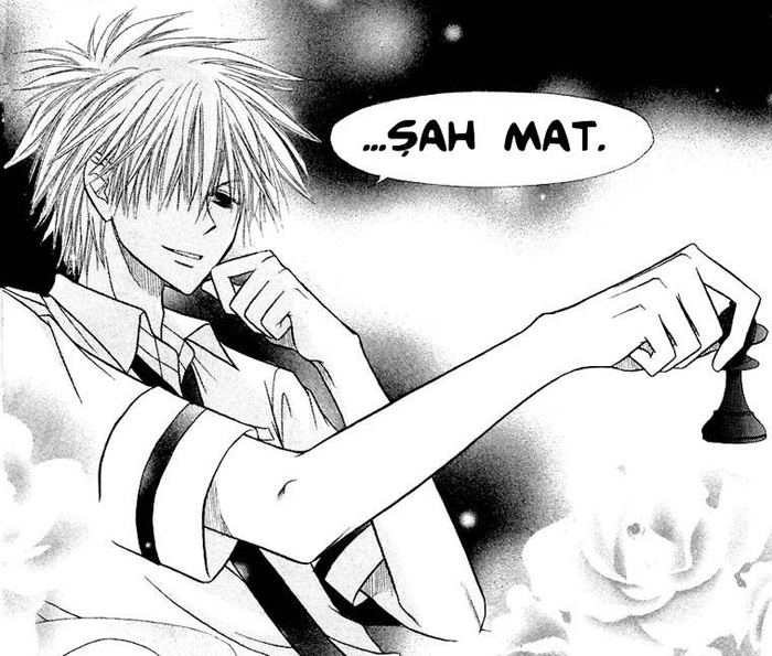 usui 22