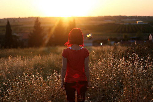 ce vor face Jonny si Dastiny