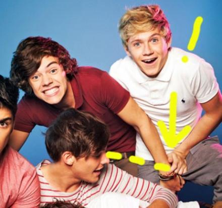 WLP1dwillyaction_0 - One Direction sau Gay Direction