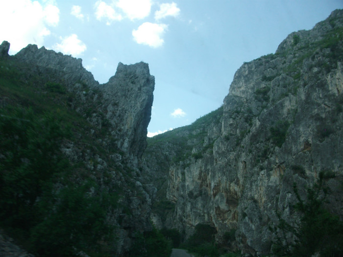Picture 175 - pe Valea Sohodolului