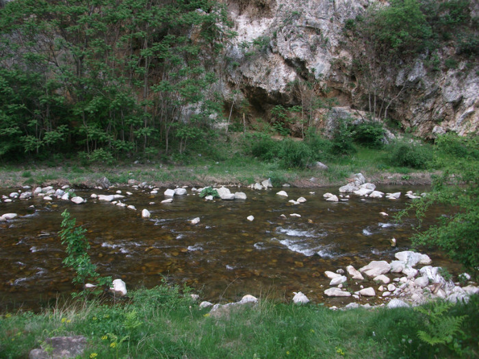 Picture 178 - pe Valea Sohodolului