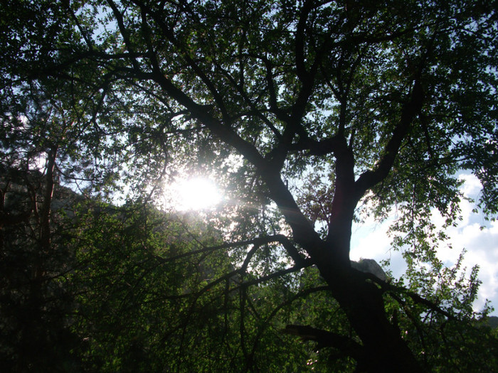 Picture 180