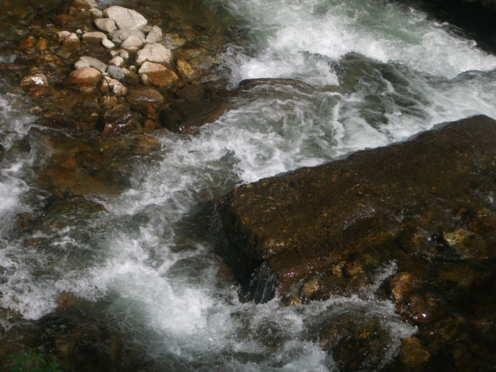 Picture 196