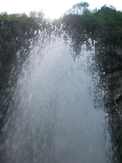 Picture 210