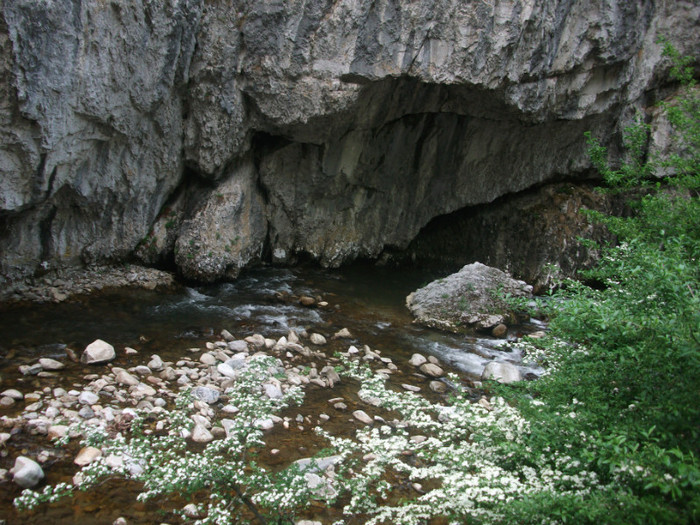 Picture 214