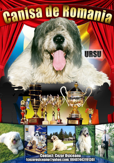 Canisa de Romania poster