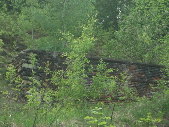 Picture 236