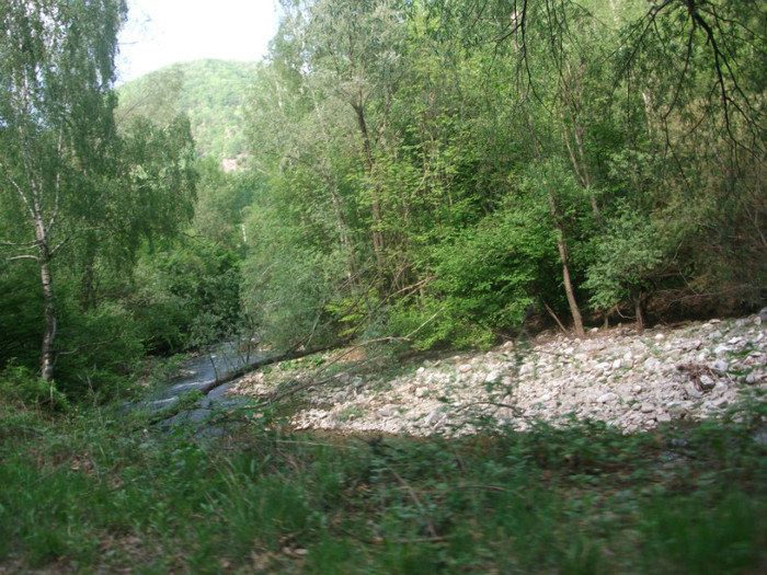 Picture 238