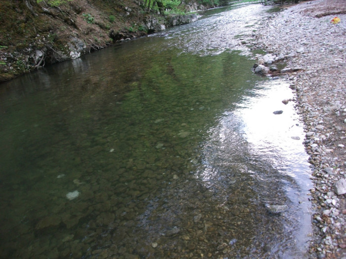 Picture 290