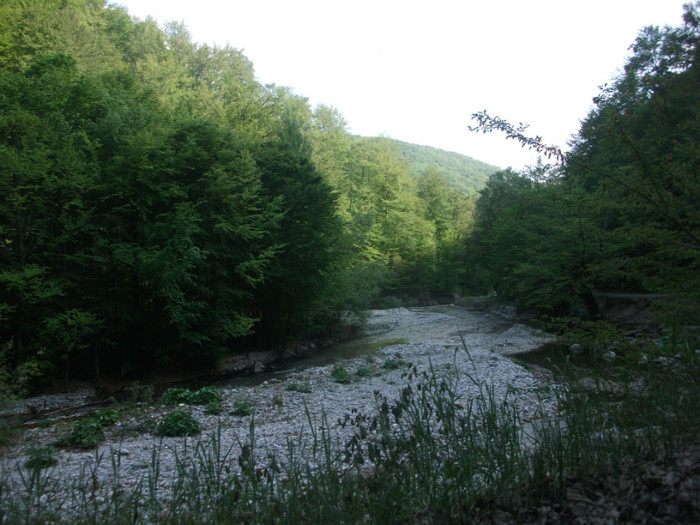 Picture 310