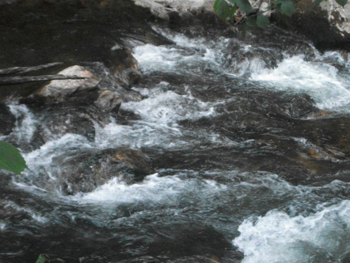 Picture 335