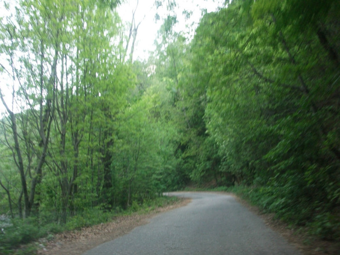 Picture 336