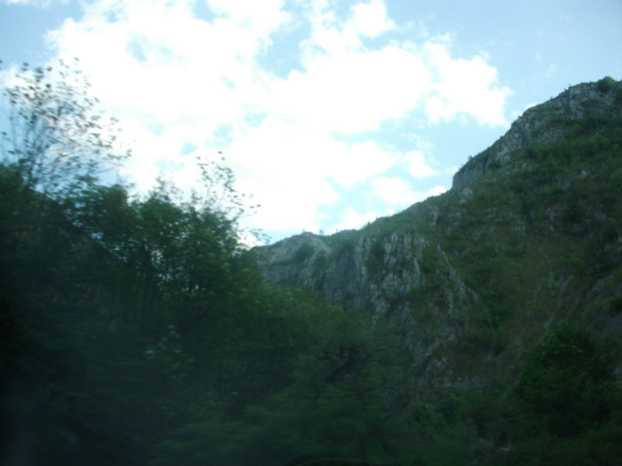 Picture 337