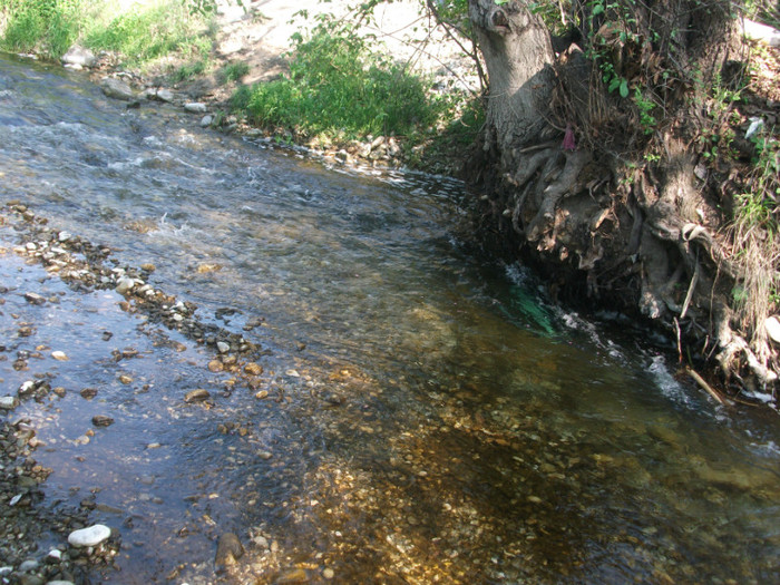 Picture 071