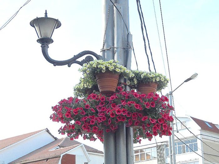 225665_109846372436247_100002326545015_100086_6397246_n