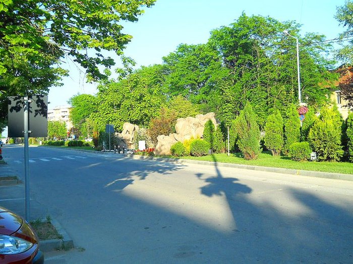 250718_113175965436621_7809855_n