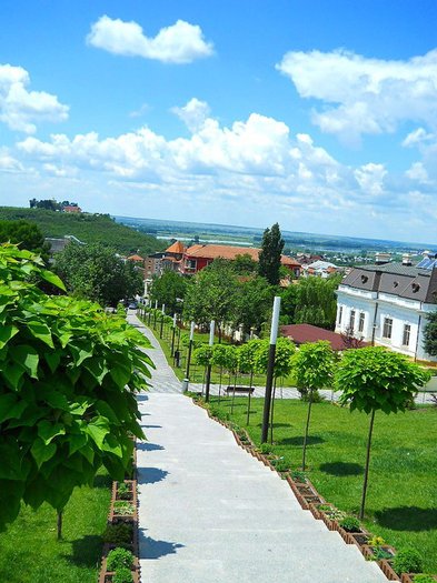 251361_116888728398678_100002326545015_156571_6603698_n